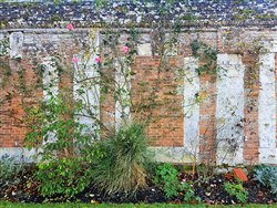 tourville-sur-arques (18)